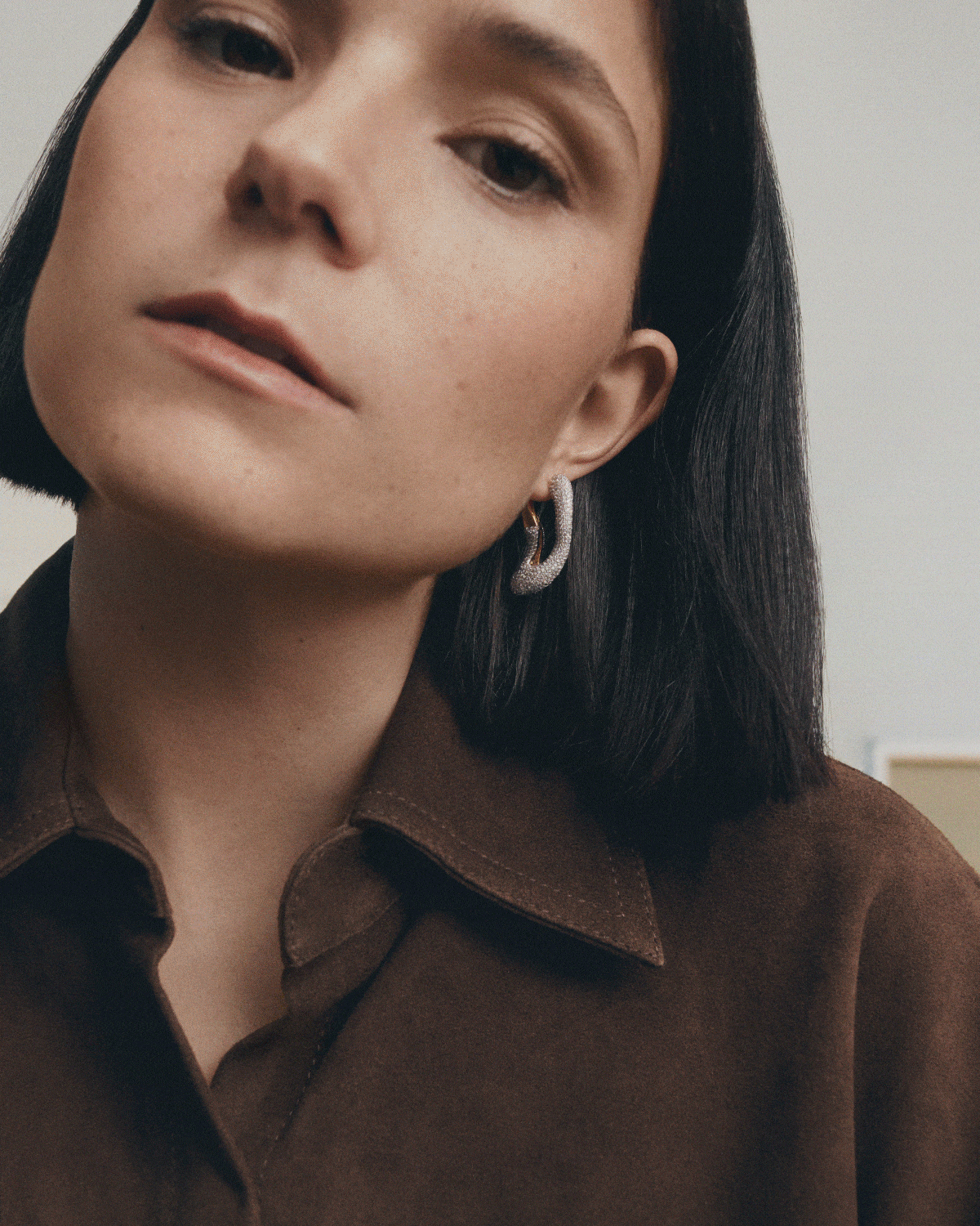 Dolphin image - PDPaola