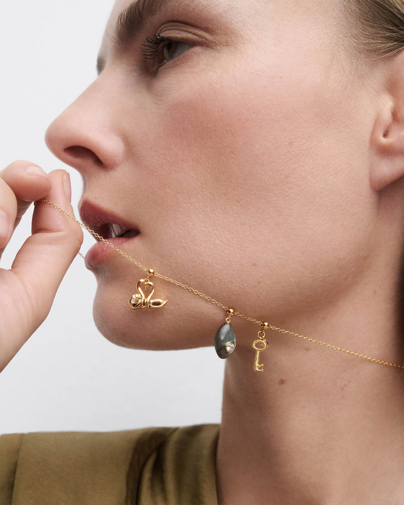 Protection Labradorite charm - 
  
    Sterling Silver / 18K Gold plating
  
