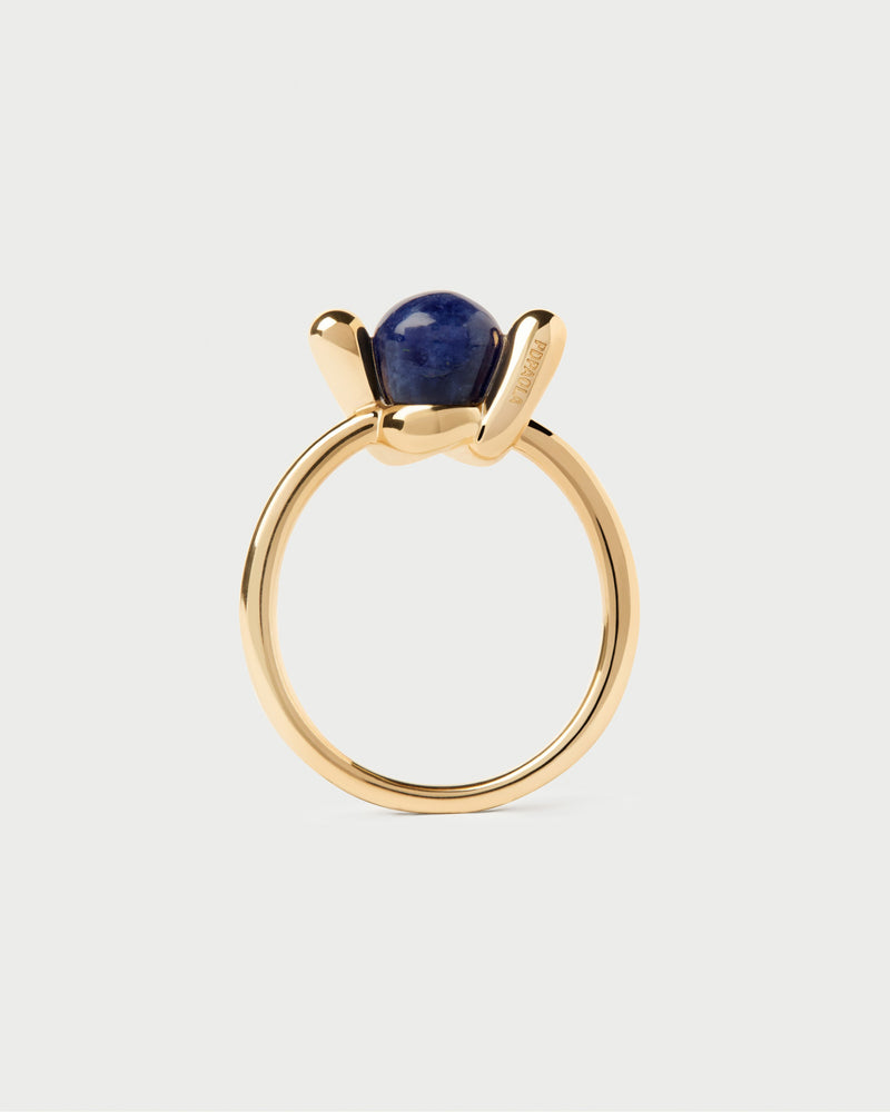 Sodalite Nexus ring - 
  
    Sterling Silver / 18K Gold plating
  
